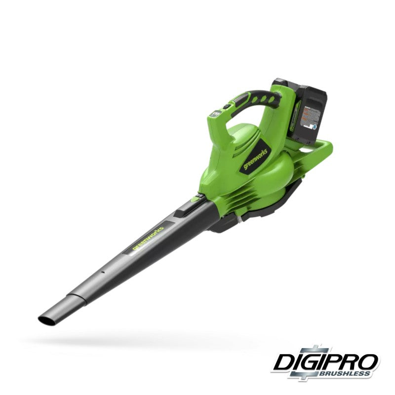 GREENWORKS 48 VOLT (2X24 VOLT) ACCU BLADBLAZER EN ZUIGER DIGIPRO